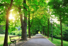 Green areas
